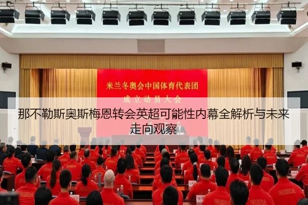 那不勒斯奥斯梅恩转会英超可能性内幕全解析与未来走向观察